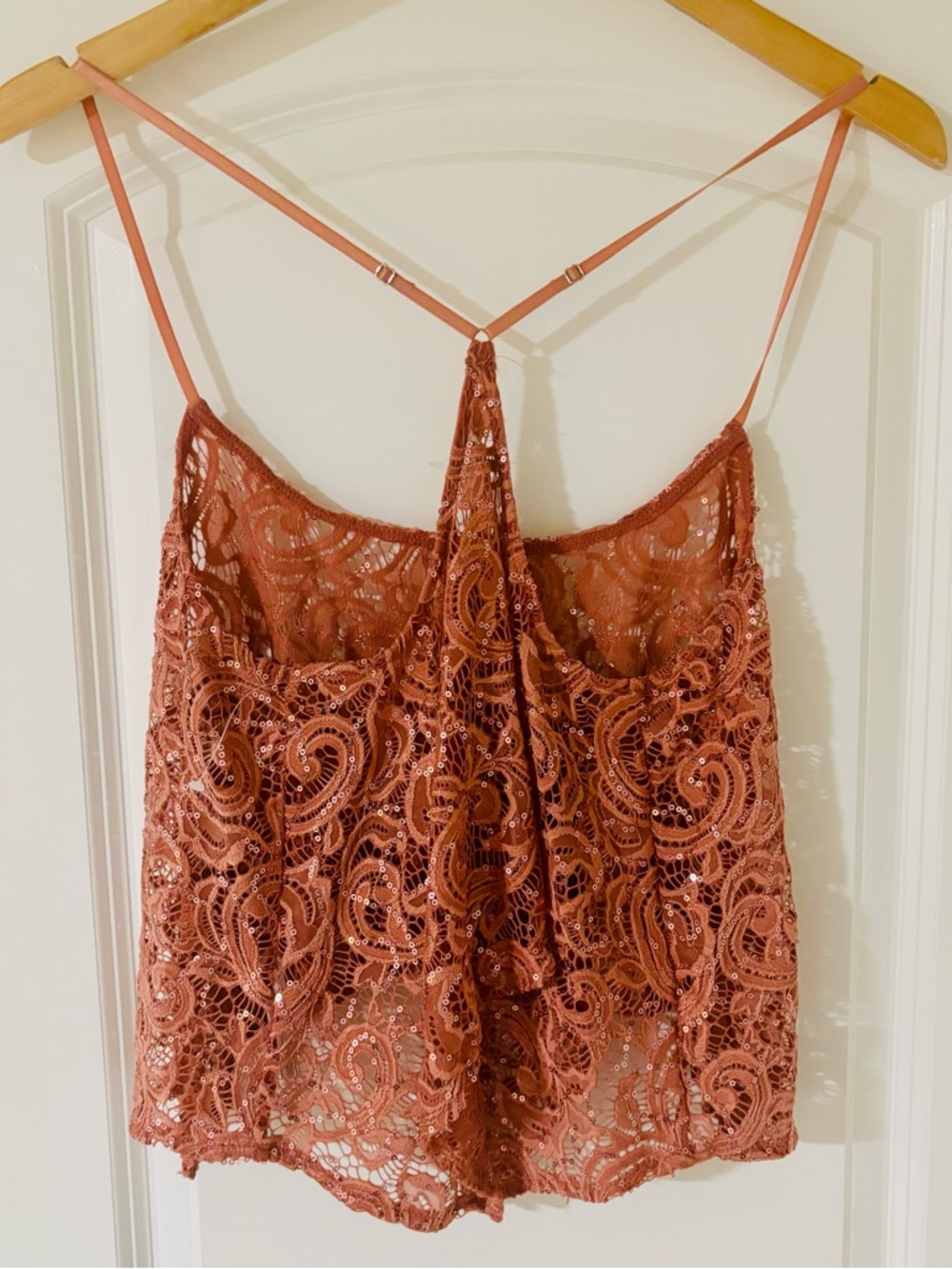 Free People Rose Lace Sequin Camisole - Picture 6 of 8